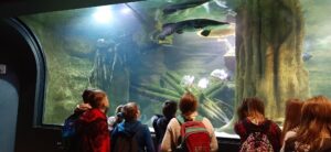 Grupa uczniów przygląda się wielkiemu akwarium