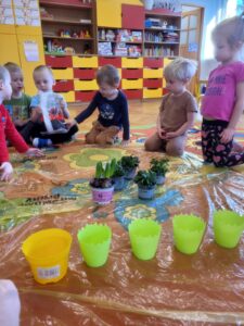 Przedszkolaki sadzą wiosenne rośliny.
