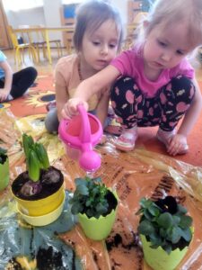 Przedszkolaki sadzą wiosenne rośliny.