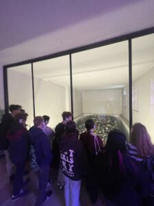 Uczniowie oglądają rzeczy odebrane więźniom obozu Auschwitz