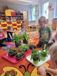 Grupa dzieci uczy się pielęgnować rośliny obchodząc Światowy Dzień Ziemi